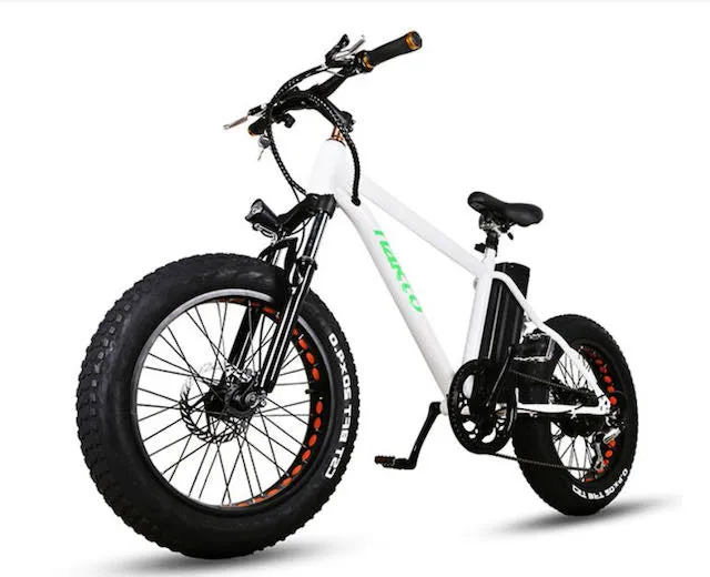 Nakto Fat Tire Mini Cruiser 20" Electric Bike